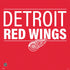 NHL Detroit Red Wings Lineup PS4 Controller Skin