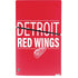 NHL Detroit Red Wings Lineup PS5 Slim Digital Edition Console Skin