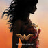 DC Comics Wonder Woman Movie Poster Stance Pose Nintendo 2DS XL (2017) Skin