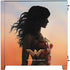DC Comics Wonder Woman Movie Poster Stance Pose Corsair 4000D Tempered Glass Mid-Tower ATX Case Skin