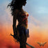 DC Comics Wonder Woman Movie Poster Stance Pose PS4 Pro Bundle Skin