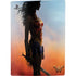 DC Comics Wonder Woman Movie Poster Stance Pose PS5 Digital Edition Bundle Skin