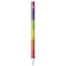 Distressed Rainbow Flag Apple Pencil (1st Gen, 2017) Skin