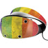 Distressed Rainbow Flag PlayStation VR2 Skin