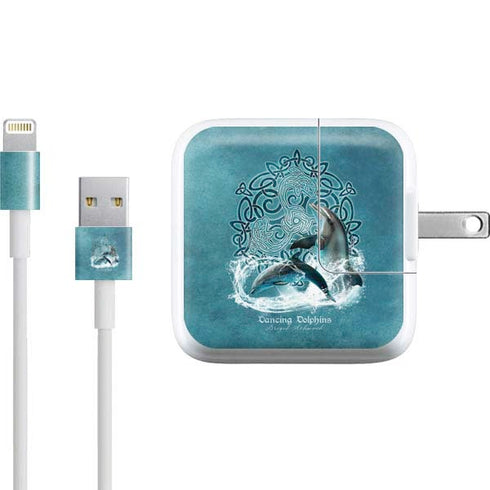 Brigid Ashwood Dolphin Celtic Knot iPad Charger (10W USB) Skin
