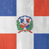 Dominican Republic Flag Distressed Nintendo 2DS XL (2017) Skin