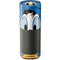 Disney Friends Donald Duck Up Close Amazon Echo Skin