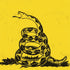 Dont Tread On Me Nintendo 2DS XL (2017) Skin