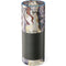 Amy Brown Dragon Charmer Fairy Amazon Echo Skin