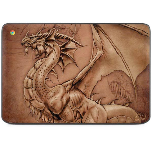 Dragon Parchment by Tom Wood HP Chromebook Skin