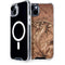 Dragon Parchment by Tom Wood iPhone 15 Plus MagSafe Case