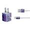 Ruth Thompson Dragonsword Stormblade iPhone Charger (5W USB) Skin