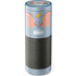 Disney Dumbo Portrait Amazon Echo Skin