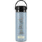 Disney Dumbo Variant Poses Hydro Flask 20oz Wide Mouth Skin