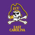 East Carolina University ECU Pirates Moto E5 Play Skin
