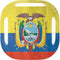 Ecuador Flag Distressed Galaxy Buds Live Skin
