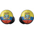 Ecuador Flag Distressed Galaxy Buds Skin