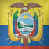 Ecuador Flag Distressed iPhone X Skin