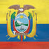 Ecuador Flag Distressed PS4 Pro Bundle Skin