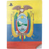 Ecuador Flag Distressed PS5 Digital Edition Console Skin