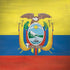 Ecuador Flag Distressed Surface Book 2 13.5in Skin