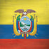 Ecuador Flag Distressed Surface Book 2 15in Skin