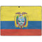 Ecuador Flag Distressed Surface Pro 9 Skin