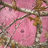 RealTree Edge Pink Camo Galaxy Note 8 Skin