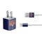 NHL Edmonton Oilers Lineup iPhone Charger (5W USB) Skin