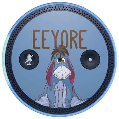 Disney Winnie the Pooh Eeyore Portrait Amazon Echo Skin