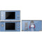 Disney Winnie the Pooh Eeyore Portrait DS Lite Skin