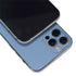 Disney Winnie the Pooh Eeyore Portrait iPhone 12 Pro Max Skin