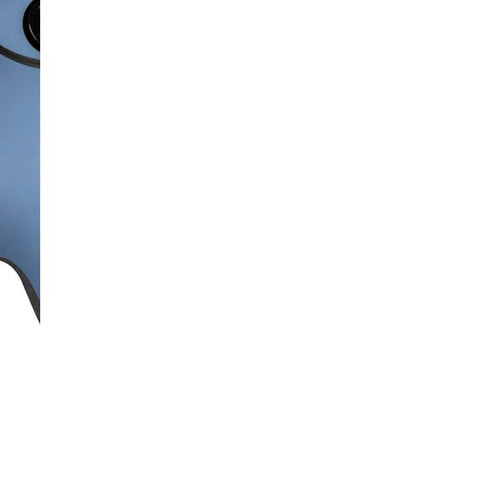 Disney Winnie the Pooh Eeyore Portrait PlayStation Scuf Vantage 2 Controller Skin