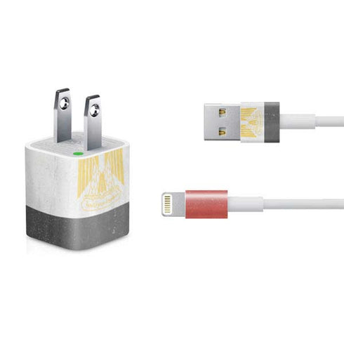 Egypt Flag Distressed iPhone Charger (5W USB) Skin