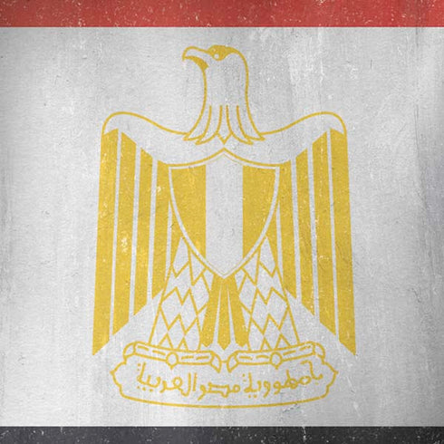 Egypt Flag Distressed iPhone X Skin