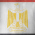 Egypt Flag Distressed iPhone X Skin