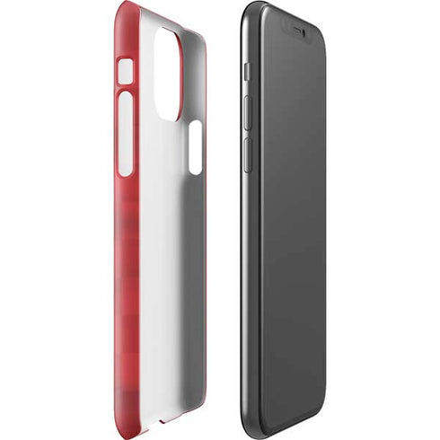 Egypt Soccer Flag iPhone 11 Pro Lite Case
