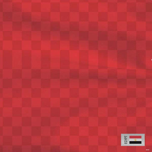 Egypt Soccer Flag PS4 Console Skin