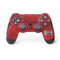 Egypt Soccer Flag PS4 Controller Skin