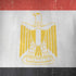 Egyptian Flag Distressed iPhone X Skin
