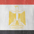 Egyptian Flag Distressed iPhone XR Pro Case