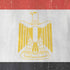 Egyptian Flag Distressed iPhone XR Skin