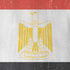 Egyptian Flag Distressed iPhone XS Skin