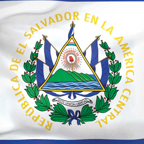 El Salvador Flag iPhone XS Skin