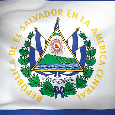 El Salvador Flag Moto G6 Skin