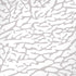 Elephant Print White iPhone XR Skin