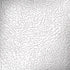 Elephant Print White Surface Book 2 13.5in Skin
