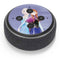 Disney Frozen Elsa and Anna Sisters Art Amazon Echo Dot Skin