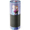 Disney Frozen Elsa and Anna Sisters Art Amazon Echo Skin
