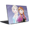 Disney Frozen Elsa and Anna Sisters Art Dell Vostro Skin
